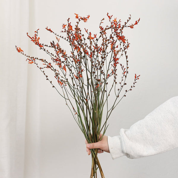 Natural Decorations, Flower Arrangement, Handmade Artificial Flower, Dried Fire Orchid Bouquet, Natural Dried Flowers-artworkcanvas
