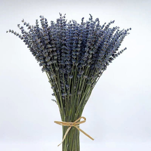 Flower Arrangements, Natural Dried Lavender Flower Bouquet, Natural Dried Lavender Flowers, A Bunch of Dried Lavender Flowers, Handmade Artificial Flowers for Home Decor-artworkcanvas