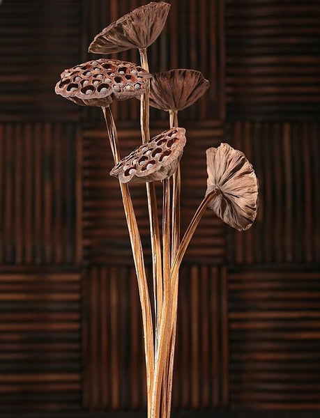 Lotus Flower Arrangement, 10 Stems Lotus Pods, Dried Lotus Pods, Natural Decor, Rustic Decor-artworkcanvas