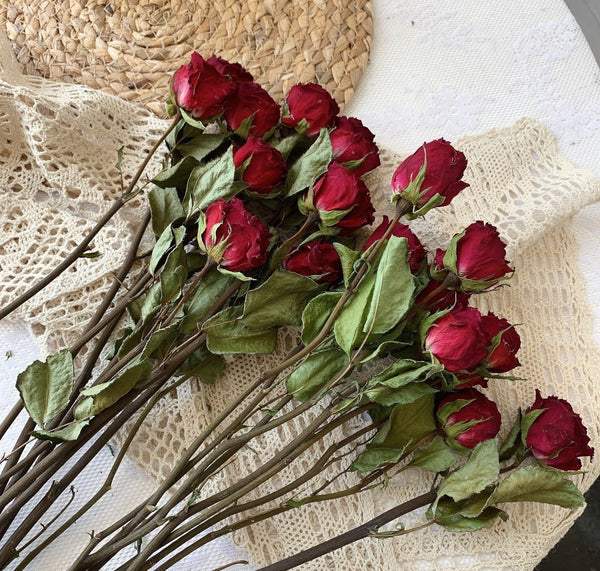 Dried Rose Floral Bouquet, Dried Rose Flowers, Natural Dried Rose Flower Bunches, A Bunch Dried Rose Flowers, Red Yellow Purple Dried Rose Flowers-artworkcanvas