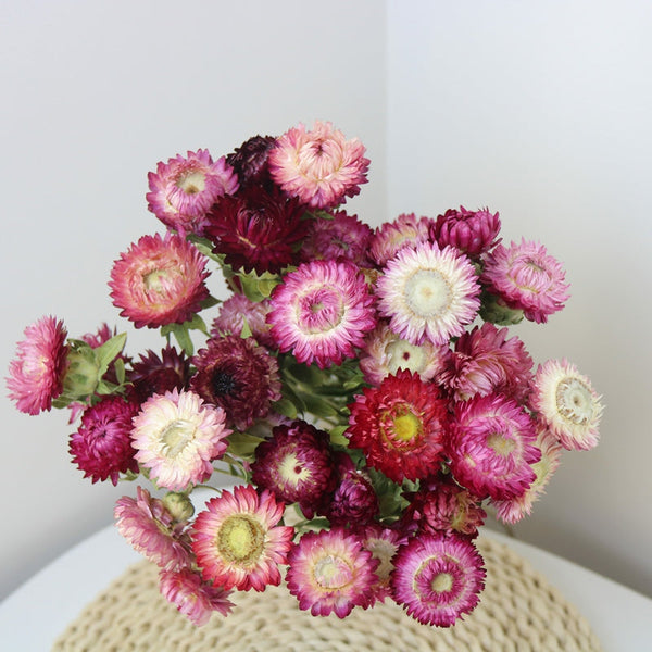 Flower Arrangements, Natural Dried Purple Daisy Flowers, Natural Decorations, A Bunch of Dried Daisy Flowers, Handmade Artificial Flowers for Home Decor-artworkcanvas