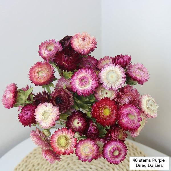 Flower Arrangements, Natural Dried Purple Daisy Flowers, Natural Decorations, A Bunch of Dried Daisy Flowers, Handmade Artificial Flowers for Home Decor-artworkcanvas