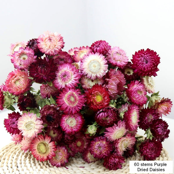 Flower Arrangements, Natural Dried Purple Daisy Flowers, Natural Decorations, A Bunch of Dried Daisy Flowers, Handmade Artificial Flowers for Home Decor-artworkcanvas