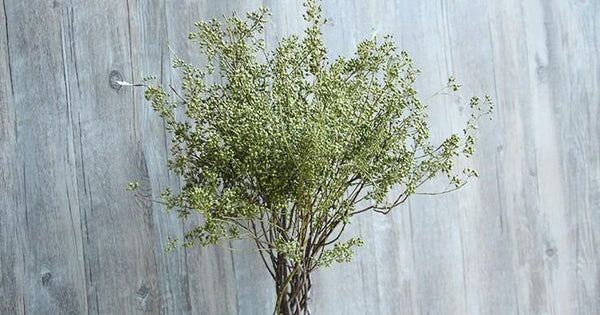 Dried Seek, Dried Flowers, Botanical Home Decor, Seed Stalks. Natural Greenery-artworkcanvas