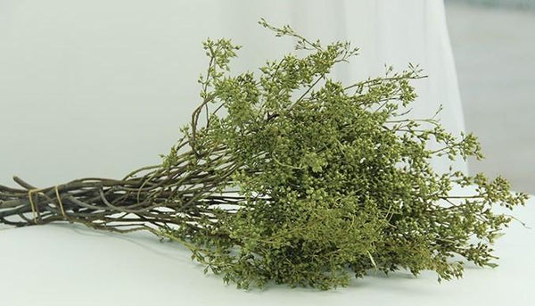 Dried Seek, Dried Flowers, Botanical Home Decor, Seed Stalks. Natural Greenery-artworkcanvas