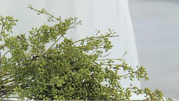 Dried Seek, Dried Flowers, Botanical Home Decor, Seed Stalks. Natural Greenery-artworkcanvas