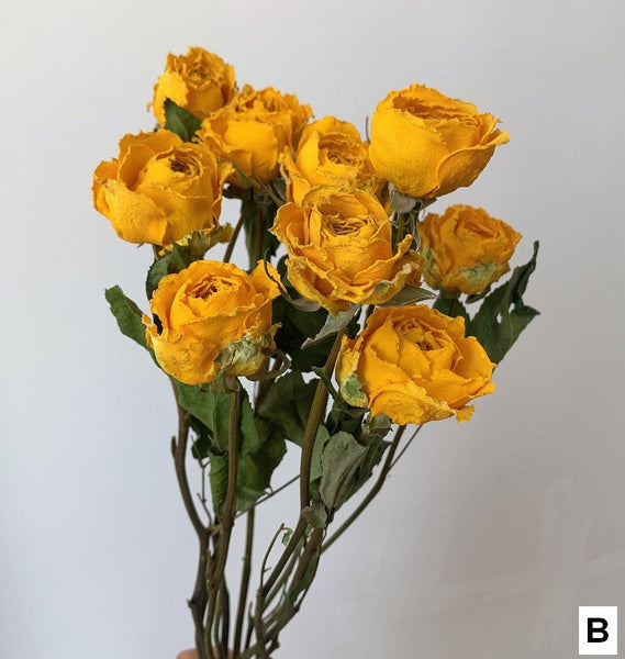 Dried Rose Floral Bouquet, Dried Rose Flowers, Natural Dried Rose Flower Bunches, A Bunch Dried Rose Flowers, Red Yellow Purple Dried Rose Flowers-artworkcanvas