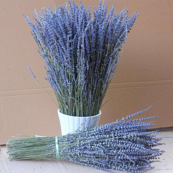 Flower Arrangements, Natural Dried Lavender Flower Bouquet, Natural Dried Lavender Flowers, A Bunch of Dried Lavender Flowers, Handmade Artificial Flowers for Home Decor-artworkcanvas