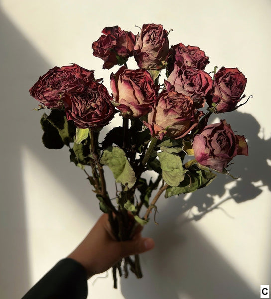 Dried Rose Floral Bouquet, Dried Rose Flowers, Natural Dried Rose Flower Bunches, A Bunch Dried Rose Flowers, Red Yellow Purple Dried Rose Flowers-artworkcanvas