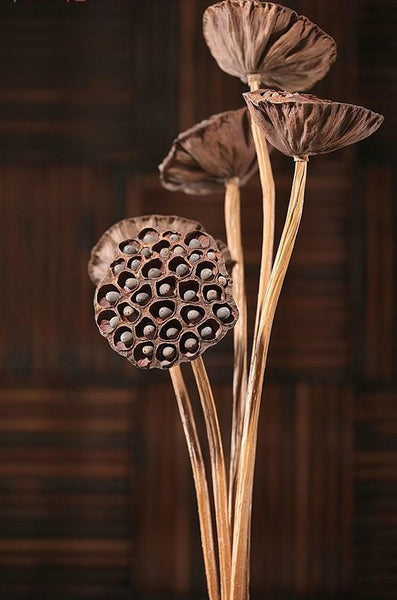 Lotus Flower Arrangement, 10 Stems Lotus Pods, Dried Lotus Pods, Natural Decor, Rustic Decor-artworkcanvas
