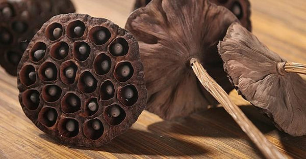 Lotus Flower Arrangement, 10 Stems Lotus Pods, Dried Lotus Pods, Natural Decor, Rustic Decor-artworkcanvas