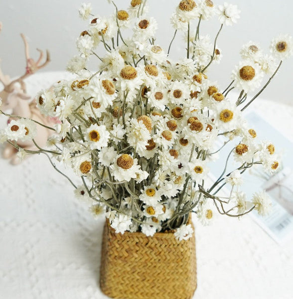 Flower Arrangements, Natural Dried Daisy Flower Bouquet, Natural Dried Daisy Flowers, A Bunch of Dried Daisy Flowers, Handmade Artificial Flowers for Home Decor-artworkcanvas