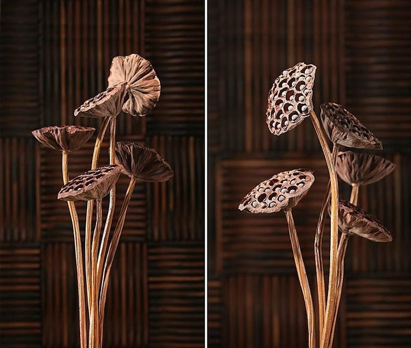 Lotus Flower Arrangement, 10 Stems Lotus Pods, Dried Lotus Pods, Natural Decor, Rustic Decor-artworkcanvas