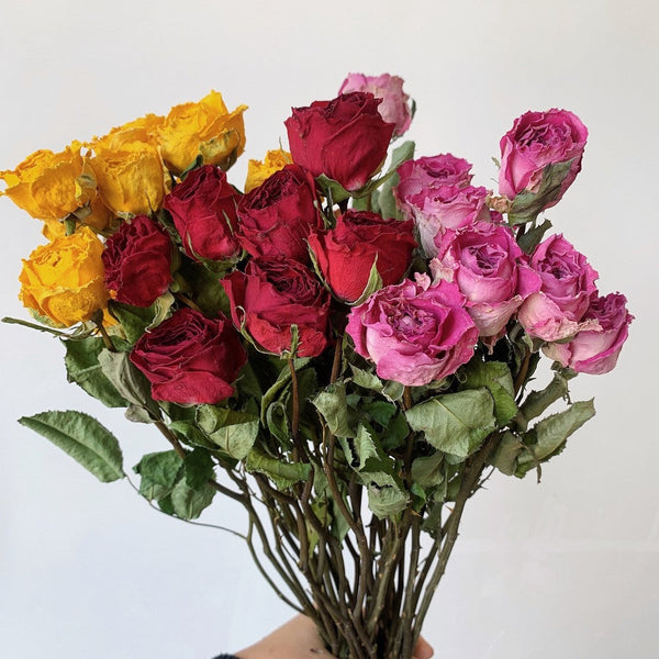 Dried Rose Floral Bouquet, Dried Rose Flowers, Natural Dried Rose Flower Bunches, A Bunch Dried Rose Flowers, Red Yellow Purple Dried Rose Flowers-artworkcanvas
