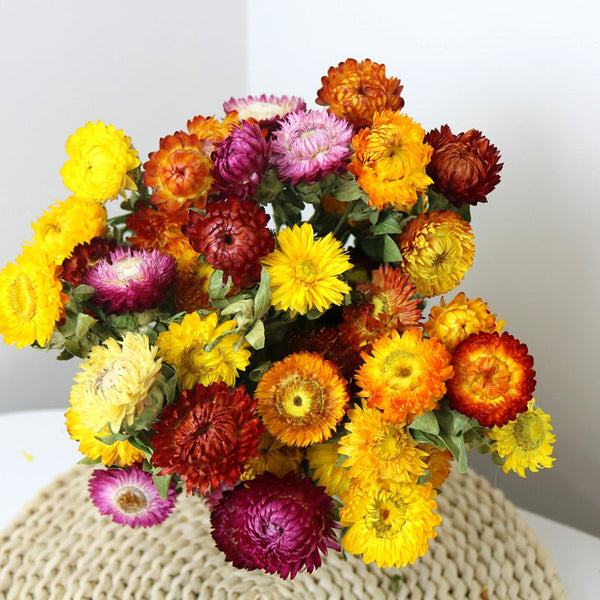 Natural Dried Daisy Flowers, Flower Arrangements, Natural Decorations, A Bunch of Dried Daisy Flowers, Handmade Artificial Flowers for Home Decor-artworkcanvas