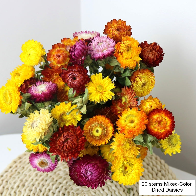 Natural Dried Daisy Flowers, Flower Arrangements, Natural Decorations, A Bunch of Dried Daisy Flowers, Handmade Artificial Flowers for Home Decor-artworkcanvas