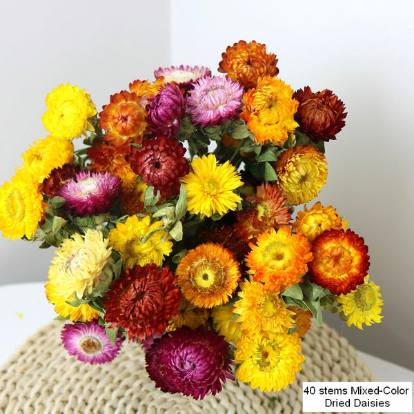 Natural Dried Daisy Flowers, Flower Arrangements, Natural Decorations, A Bunch of Dried Daisy Flowers, Handmade Artificial Flowers for Home Decor-artworkcanvas