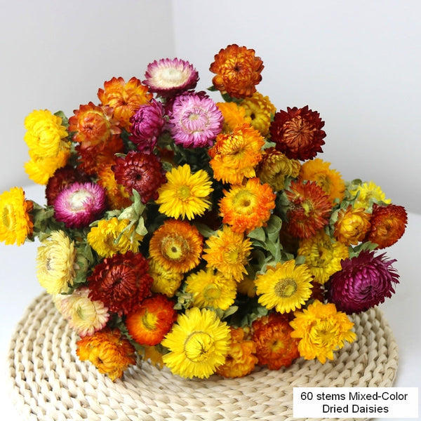 Natural Dried Daisy Flowers, Flower Arrangements, Natural Decorations, A Bunch of Dried Daisy Flowers, Handmade Artificial Flowers for Home Decor-artworkcanvas