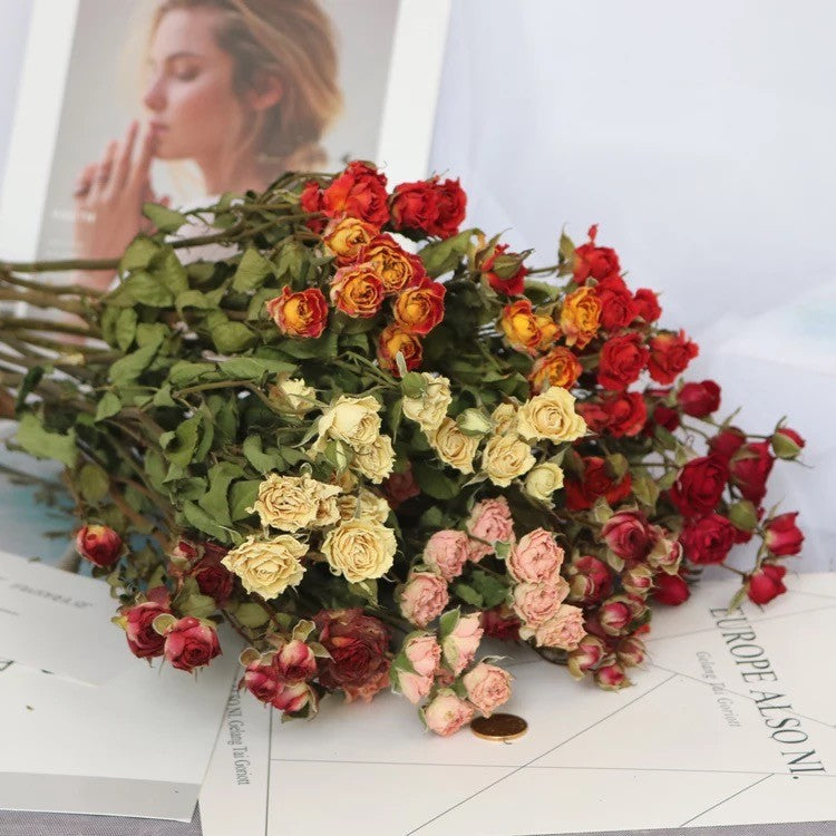 Dried Rose Bouquet Dark Red Petals, Preserved Red Roses, Romantic Everlasting, Vintage Valentine Gift, Dried Roses With Baby Breath, Dark Red Petals, Everlasting Rose, Natural Dried Roses, Dried Red Roses, Preserved Rose Bouquet