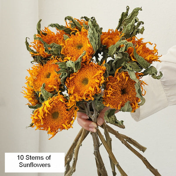 Natural Decorations, A Bunch of Sunflowers, Flower Arrangement, Handmade Artificial Flowers for Home Decor, Natural Dried Sunflower Stems-artworkcanvas