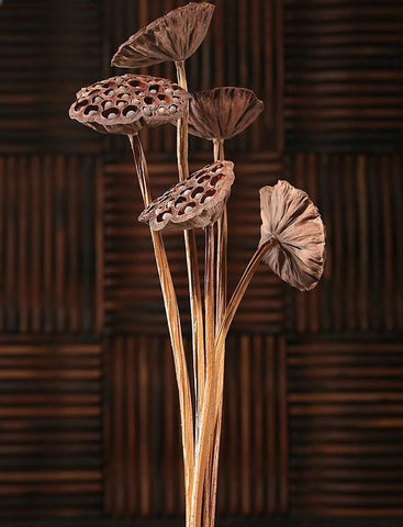 10 Stems Lotus Pods, Dried Lotus Pods, Natural Decor, Rustic Decor, Lotus Flower Arrangement-artworkcanvas