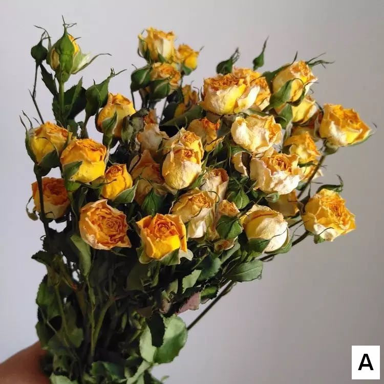 Red Yellow Purple Dried Rose Floral, Dried Rose Flower Bouquet, A Bouquet of Dried Rose Flowers, Natural Dried Rose Flower Bunches, A Bunch Dried Rose Flowers-artworkcanvas