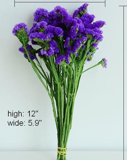 Dried Statices Flower, Dried Flowers, Flower Bunches, Dried Floral-artworkcanvas