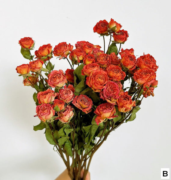 Red Yellow Purple Dried Rose Floral, Dried Rose Flower Bouquet, A Bouquet of Dried Rose Flowers, Natural Dried Rose Flower Bunches, A Bunch Dried Rose Flowers-artworkcanvas