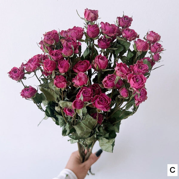 Red Yellow Purple Dried Rose Floral, Dried Rose Flower Bouquet, A Bouquet of Dried Rose Flowers, Natural Dried Rose Flower Bunches, A Bunch Dried Rose Flowers-artworkcanvas