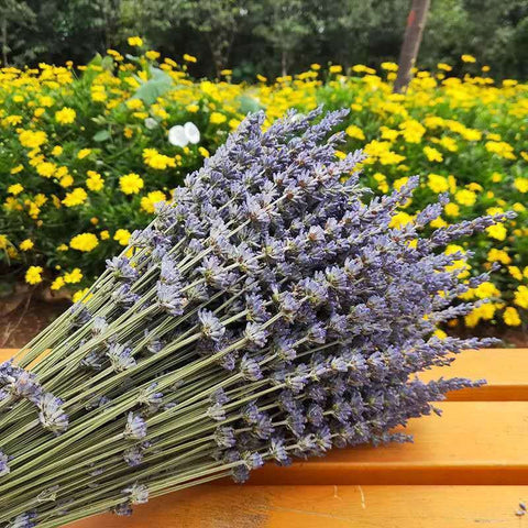 Natural Dried Lavender Flower Bouquet, Natural Dried Lavender Flowers, A Bunch of Dried Lavender Flowers, Handmade Artificial Flowers for Home Decor, Flower Arrangements-artworkcanvas