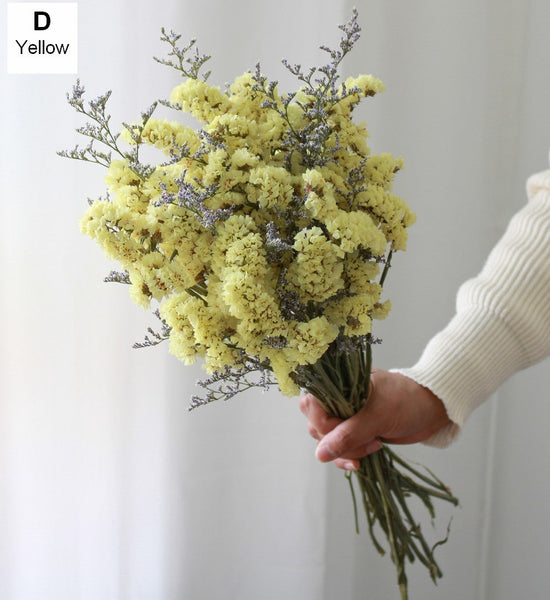 A Bunch Dried Myosotis Flowers with Limoniums, Dried Flowers, Flower Bunches, Dried Floral-artworkcanvas