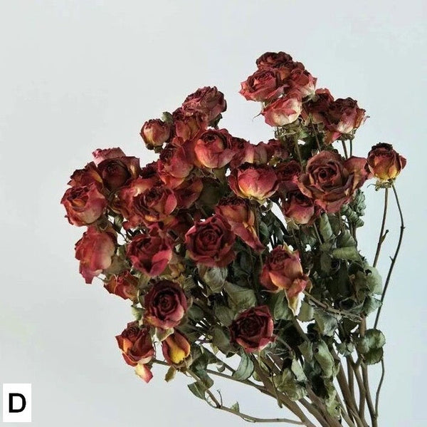 Red Yellow Purple Dried Rose Floral, Dried Rose Flower Bouquet, A Bouquet of Dried Rose Flowers, Natural Dried Rose Flower Bunches, A Bunch Dried Rose Flowers-artworkcanvas