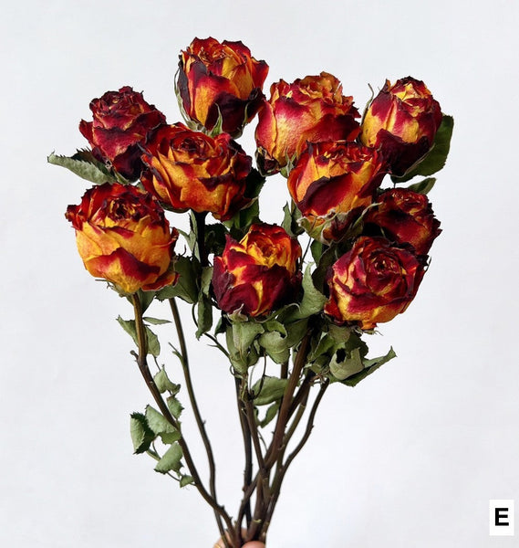 Rose Floral Bouquet, Dried Rose Flowers, Natural Dried Rose Flower Bunches, A Bunch Dried Rose Flowers, Red Yellow Purple Dried Rose Flowers-artworkcanvas
