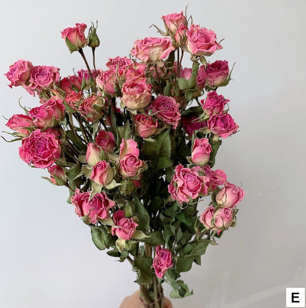Red Yellow Purple Dried Rose Floral, Dried Rose Flower Bouquet, A Bouquet of Dried Rose Flowers, Natural Dried Rose Flower Bunches, A Bunch Dried Rose Flowers-artworkcanvas