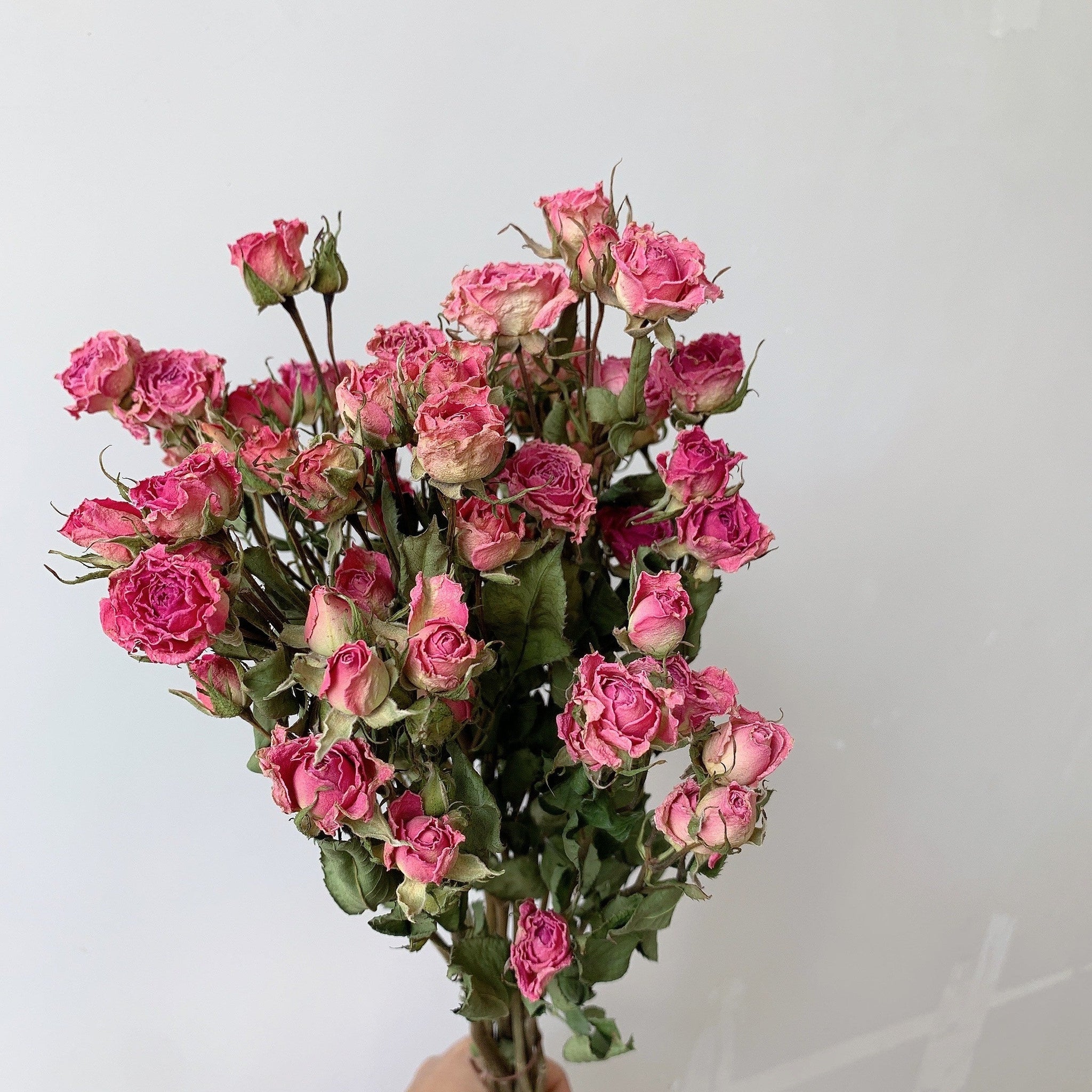 Dried Rose Bouquet Assorted Colors, Red Yellow Purple Preserved Roses, Rainbow Dried Roses, Colorful Everlasting Roses, Dried Rose Floral Mix, Romantic Mixed Roses, Preserved Rainbow Roses, Natural Multi Colored Roses, Mixed Dried Roses, Assorted Rose Bouquet