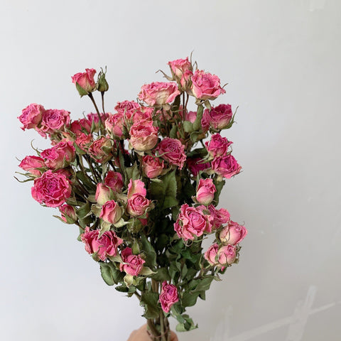 Red Yellow Purple Dried Rose Floral, Dried Rose Flower Bouquet, A Bouquet of Dried Rose Flowers, Natural Dried Rose Flower Bunches, A Bunch Dried Rose Flowers-artworkcanvas