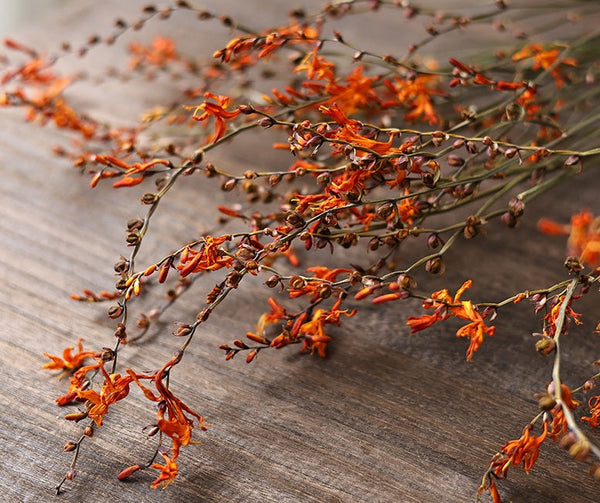 Dried Fire Orchid Bouquet, Natural Decorations, Flower Arrangement, Handmade Artificial Flower, Natural Dried Flowers-artworkcanvas
