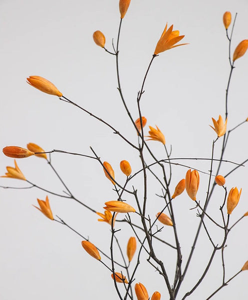 Dried Magnolia Branch, Magnolia Long Twigs, Natural Decorations, Flower Arrangement, Handmade Artificial Flower, Natural Dried Branches-artworkcanvas