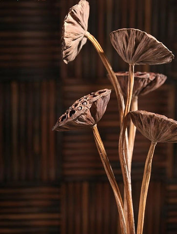 Lotus Flower Arrangement, 10 Stems Lotus Pods, Dried Lotus Pods, Natural Decor, Rustic Decor-artworkcanvas
