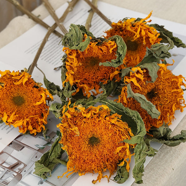 Natural Decorations, A Bunch of Sunflowers, Flower Arrangement, Handmade Artificial Flowers for Home Decor, Natural Dried Sunflower Stems-artworkcanvas