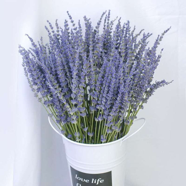 Natural Dried Lavender Flower Bouquet, Natural Dried Lavender Flowers, A Bunch of Dried Lavender Flowers, Handmade Artificial Flowers for Home Decor, Flower Arrangements-artworkcanvas