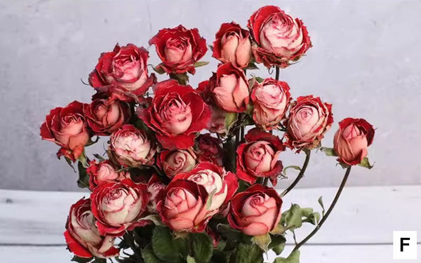 Red Yellow Purple Dried Rose Floral, Dried Rose Flower Bouquet, A Bouquet of Dried Rose Flowers, Natural Dried Rose Flower Bunches, A Bunch Dried Rose Flowers-artworkcanvas