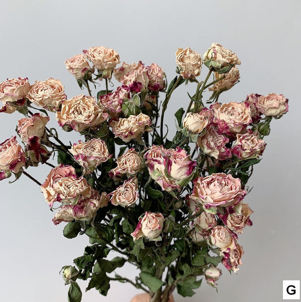 Red Yellow Purple Dried Rose Floral, Dried Rose Flower Bouquet, A Bouquet of Dried Rose Flowers, Natural Dried Rose Flower Bunches, A Bunch Dried Rose Flowers-artworkcanvas