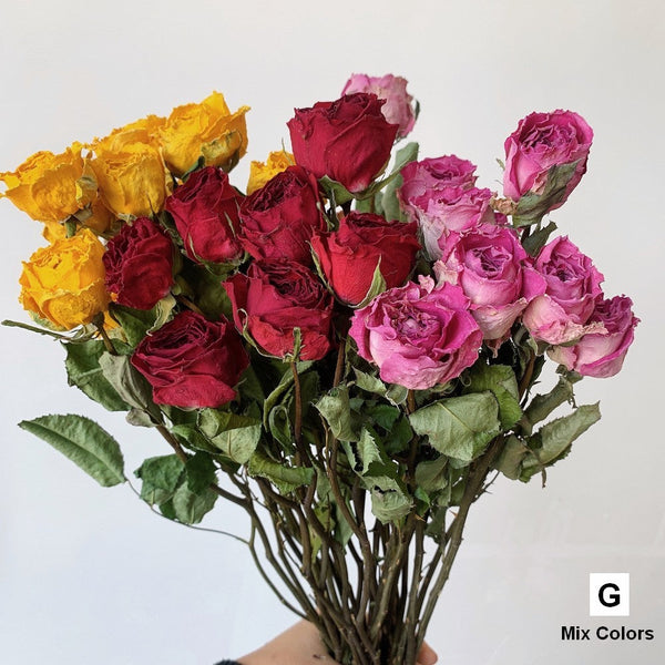Dried Rose Floral Bouquet, Dried Rose Flowers, Natural Dried Rose Flower Bunches, A Bunch Dried Rose Flowers, Red Yellow Purple Dried Rose Flowers-artworkcanvas