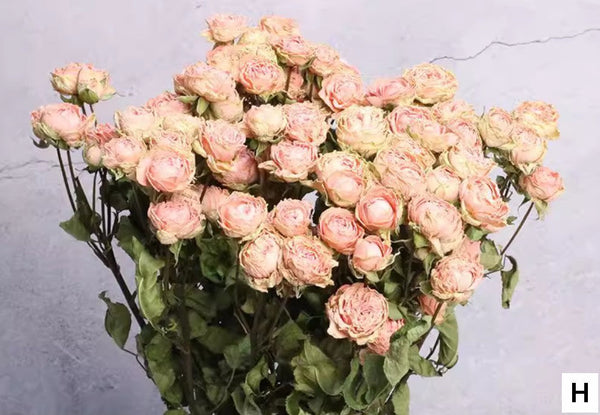 Red Yellow Purple Dried Rose Floral, Dried Rose Flower Bouquet, A Bouquet of Dried Rose Flowers, Natural Dried Rose Flower Bunches, A Bunch Dried Rose Flowers-artworkcanvas