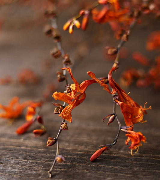 Dried Fire Orchid Bouquet, Natural Decorations, Flower Arrangement, Handmade Artificial Flower, Natural Dried Flowers-artworkcanvas