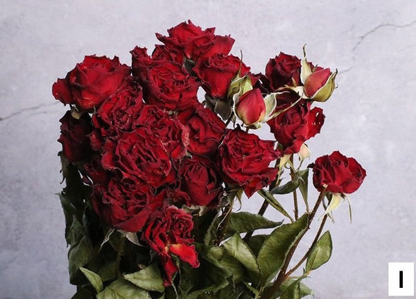 Red Yellow Purple Dried Rose Floral, Dried Rose Flower Bouquet, A Bouquet of Dried Rose Flowers, Natural Dried Rose Flower Bunches, A Bunch Dried Rose Flowers-artworkcanvas