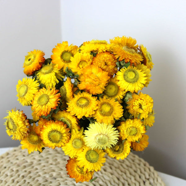 Natural Decorations, A Bunch of Dried Daisy Flowers, Flower Arrangements, Natural Dried Yellow Daisy Flowers, Handmade Artificial Flowers for Home Decor-artworkcanvas