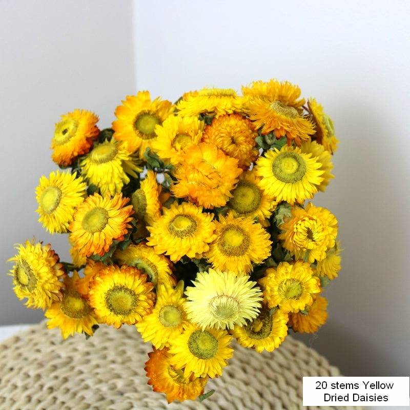 Natural Decorations, A Bunch of Dried Daisy Flowers, Flower Arrangements, Natural Dried Yellow Daisy Flowers, Handmade Artificial Flowers for Home Decor-artworkcanvas