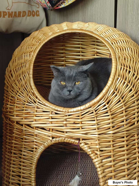 Large Double-Layer Cat Bed, Wicker Cat House Basket with Washable Cushion for Indoor Cats and Dogs-artworkcanvas